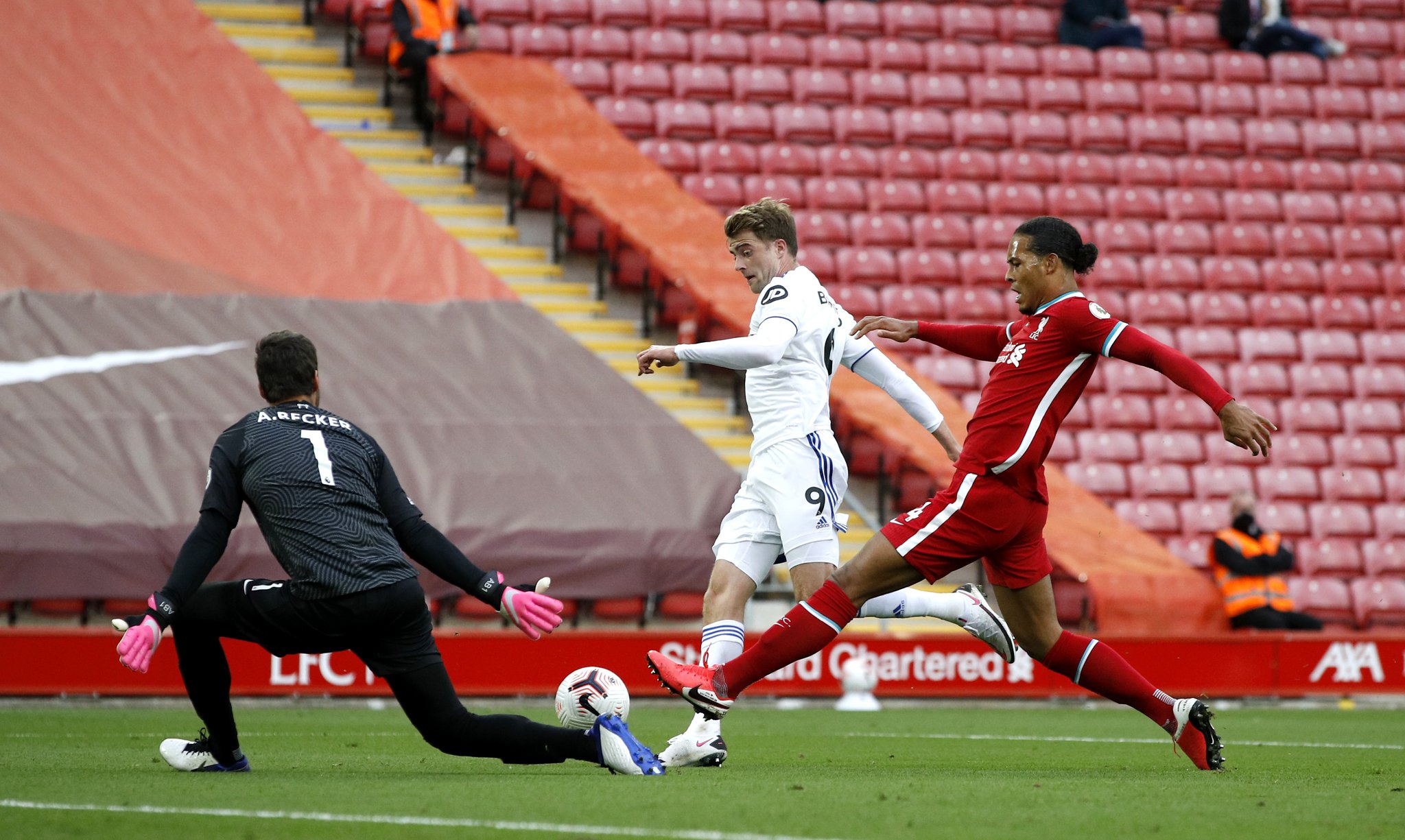 的皇家贝蒂 的皇家贝蒂